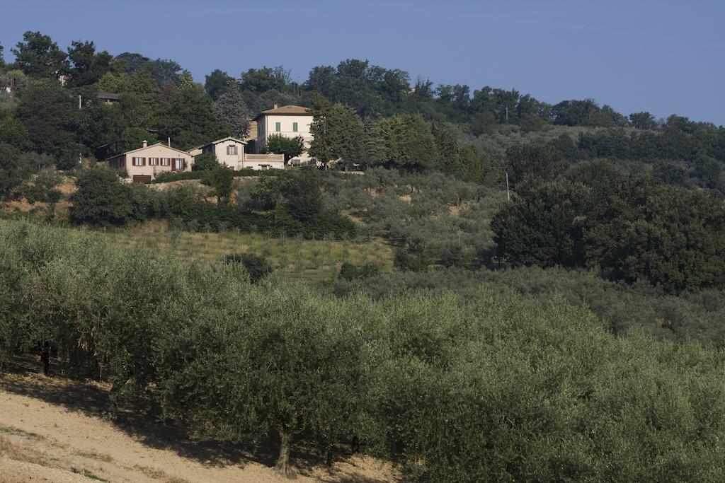 Agriturismo Il Girasole Montefalco Εξωτερικό φωτογραφία