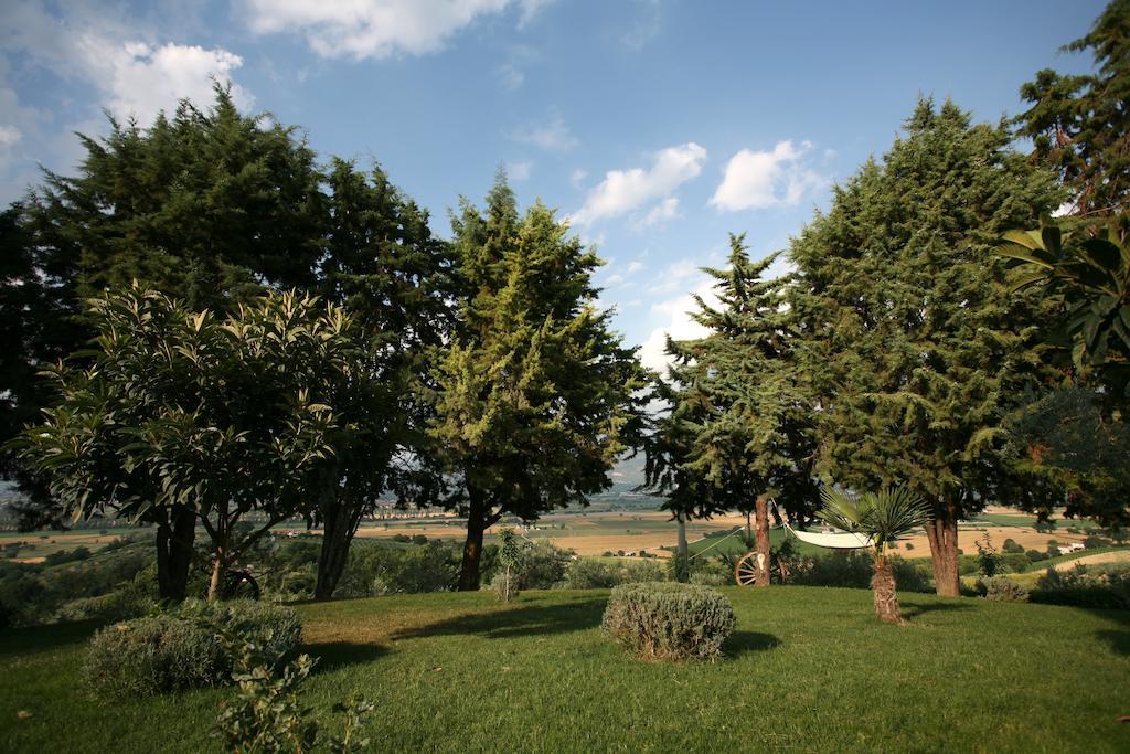 Agriturismo Il Girasole Montefalco Δωμάτιο φωτογραφία
