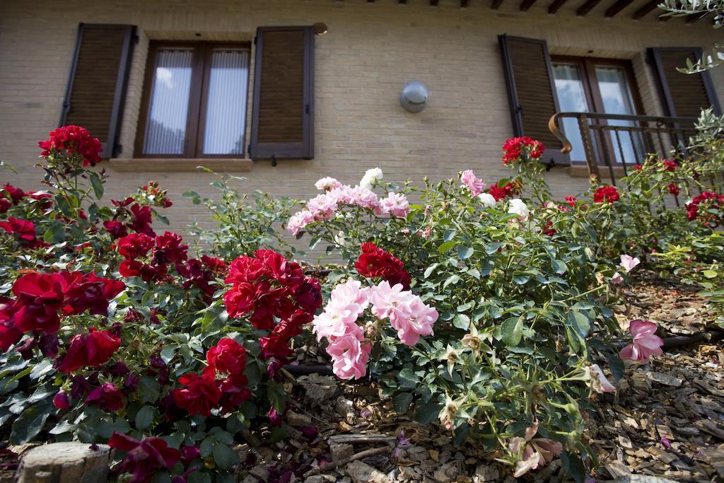 Agriturismo Il Girasole Montefalco Δωμάτιο φωτογραφία