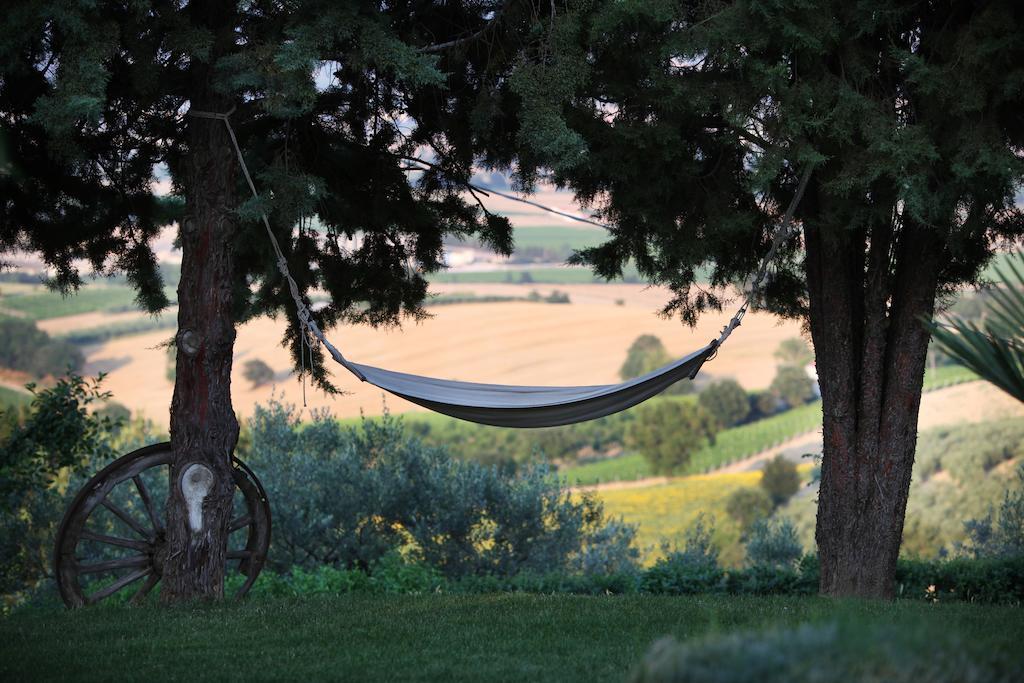 Agriturismo Il Girasole Montefalco Εξωτερικό φωτογραφία