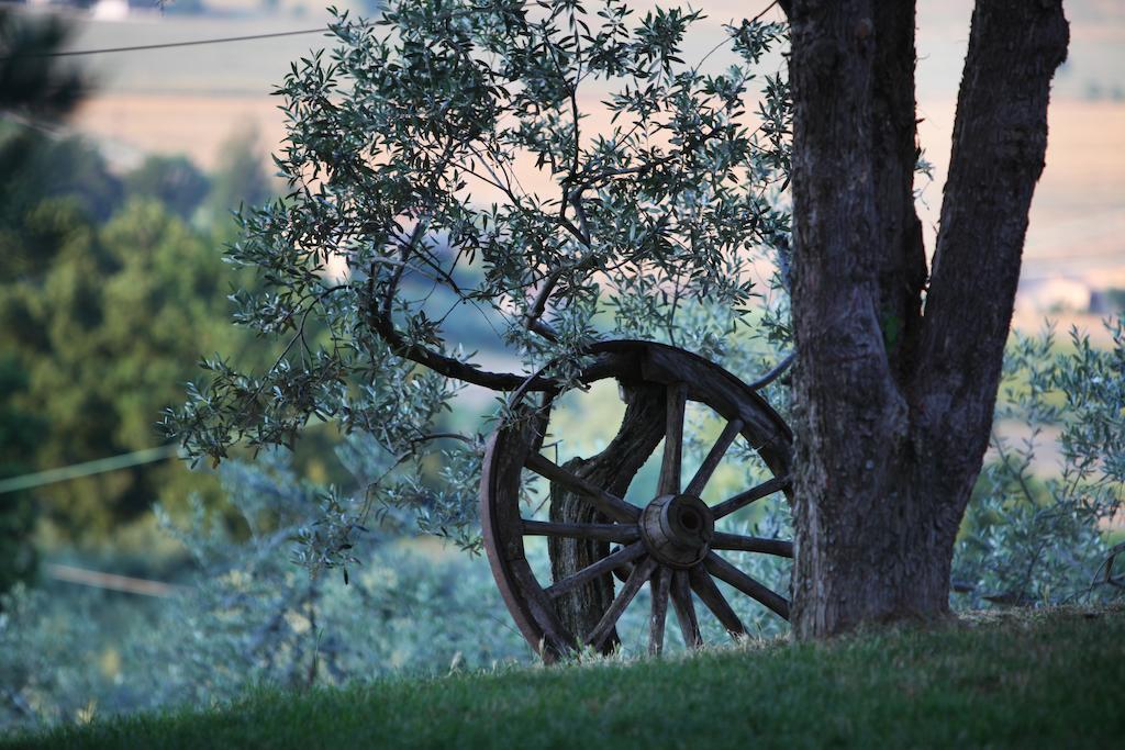 Agriturismo Il Girasole Montefalco Εξωτερικό φωτογραφία